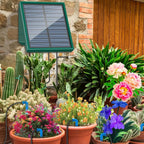 Hushé Solar Auto-Watering Kit