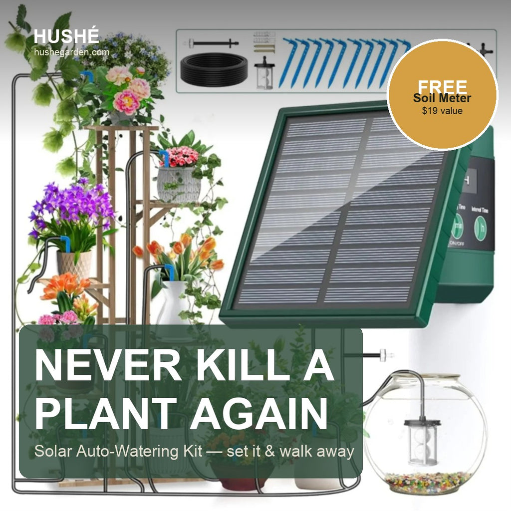 Hushé Solar Auto-Watering Kit — never kill a plant again