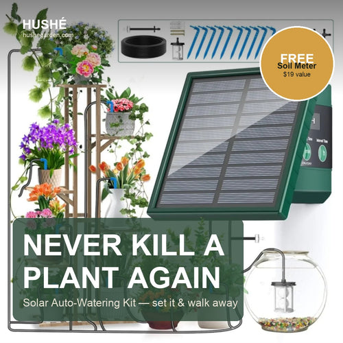 Hushé Solar Auto-Watering Kit — never kill a plant again